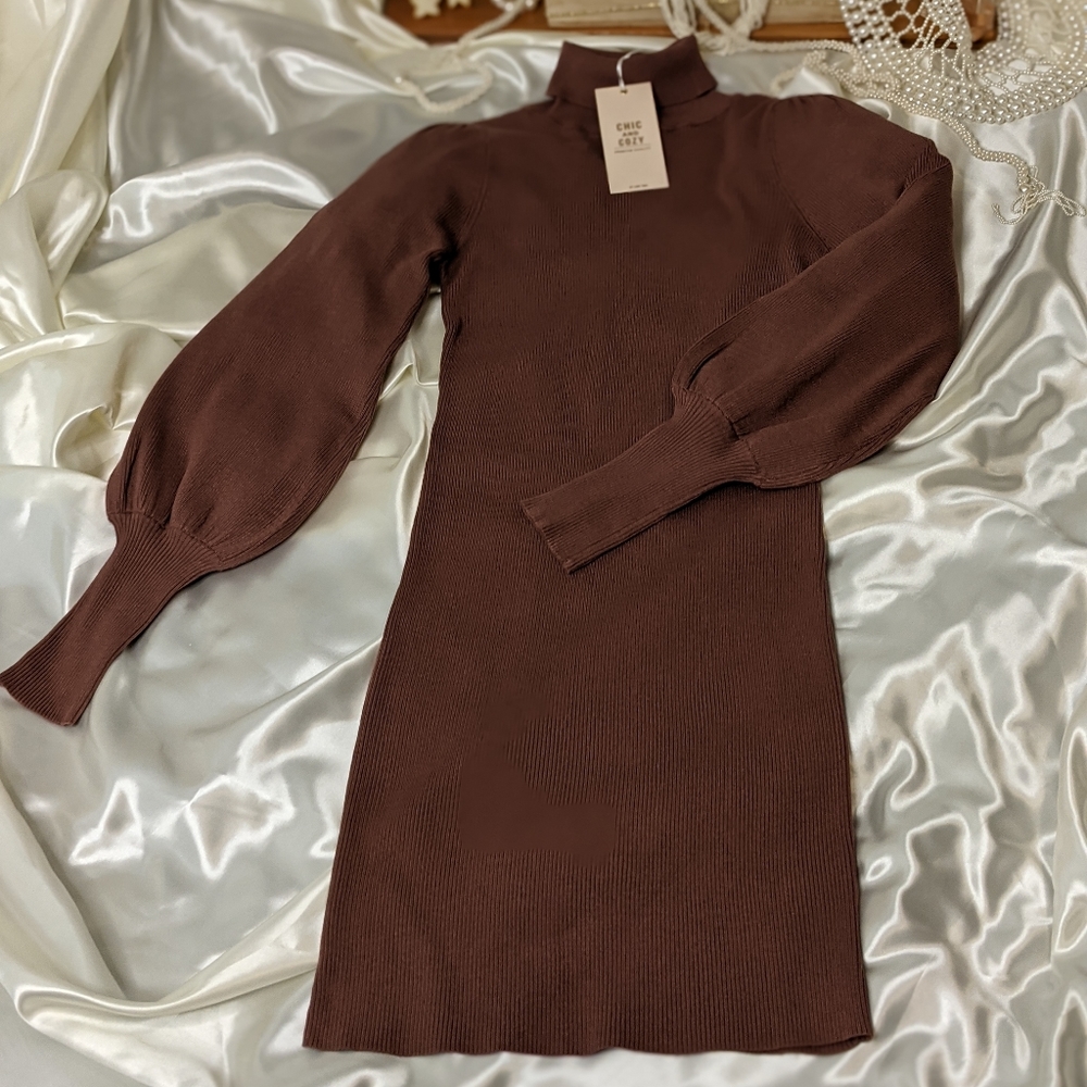 Turtleneck Puffed Sleeve Dress
